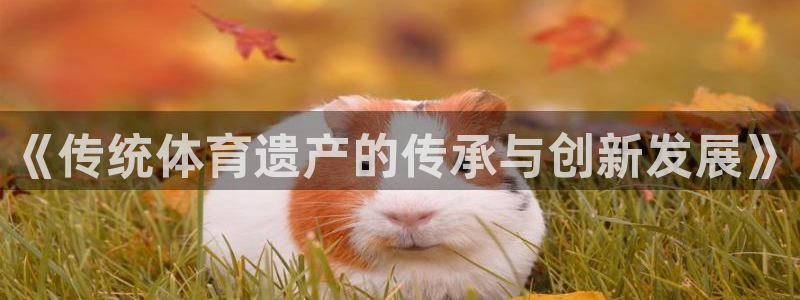 xc体育app官方网站
