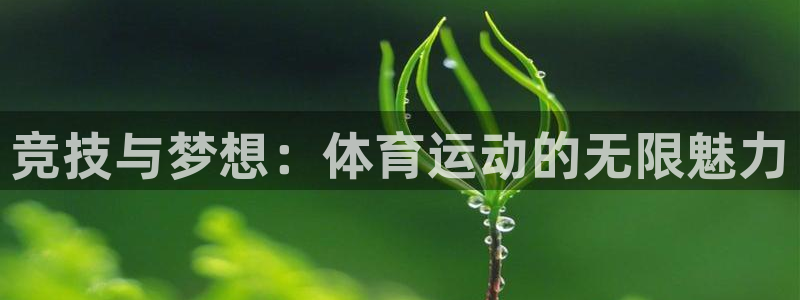 xc体育app官方网站