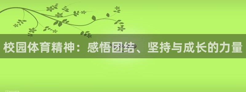 xc体育