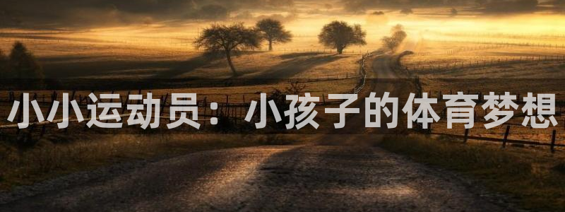 xc体育app官方网站