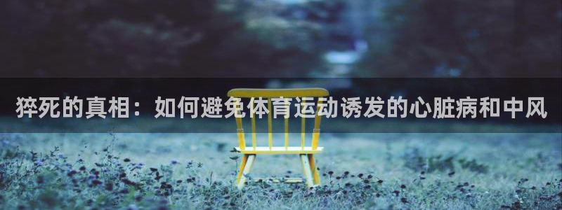 xc体育