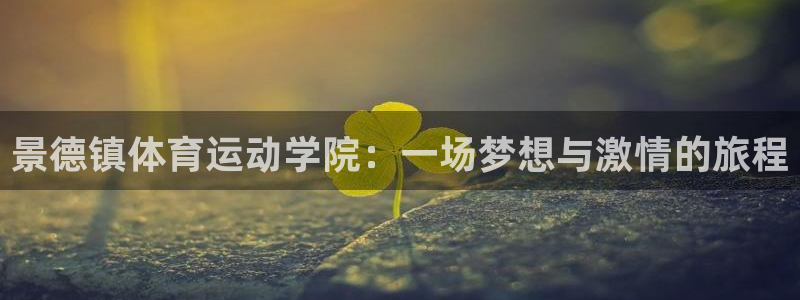 xc体育app官方网站
