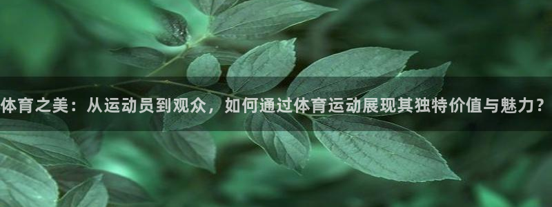 xc体育