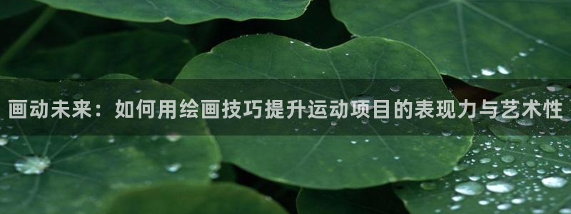 xc体育app官方网站