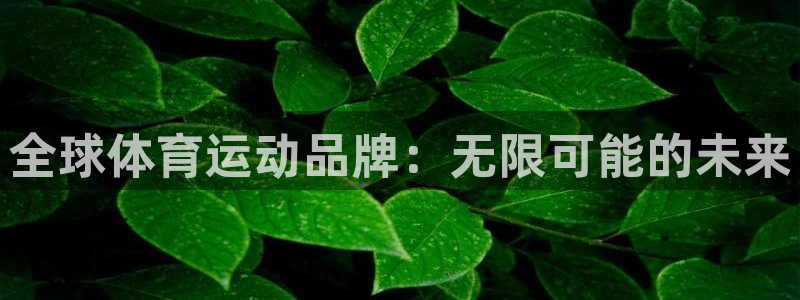 xc体育app官方网站