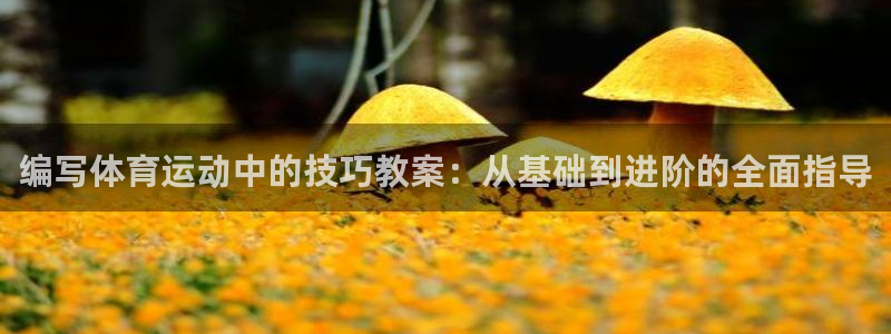 xc体育